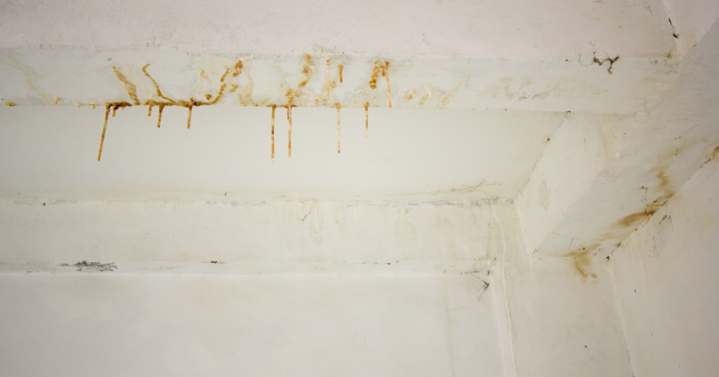 Quelles solutions anti-humidité pour un mur intérieur